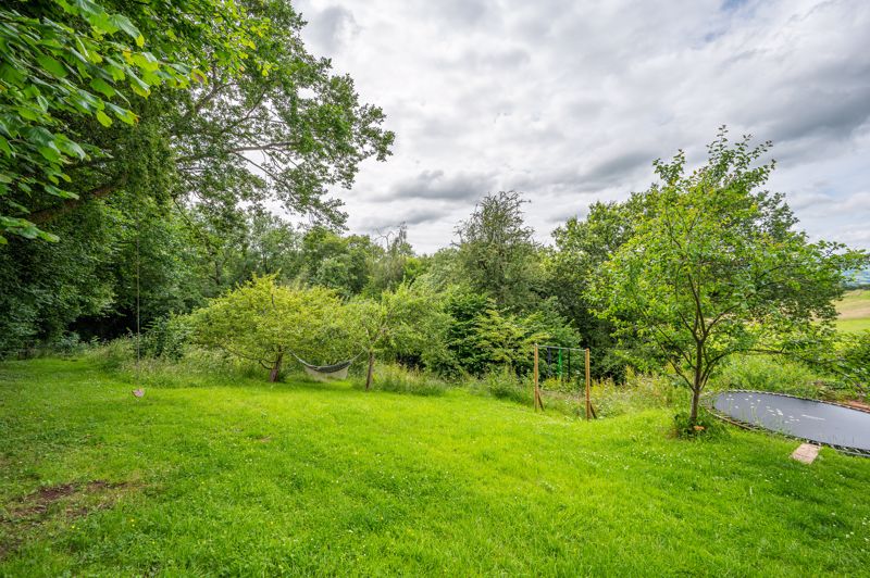 Garden- click for photo gallery